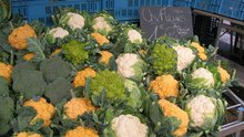 Blumenkohl.JPG