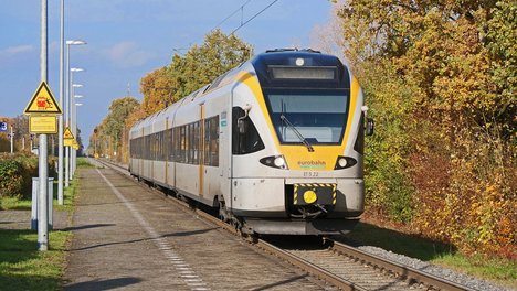 autumn-sun-4615944_1920.jpg