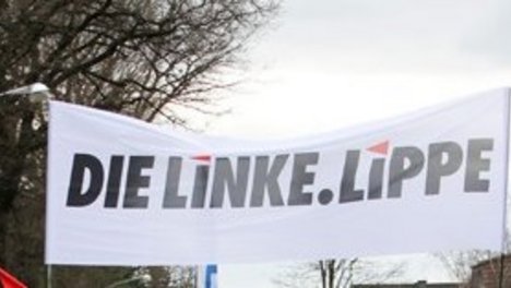 webframe-dielinke-lippe