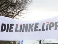 webframe-dielinke-lippe