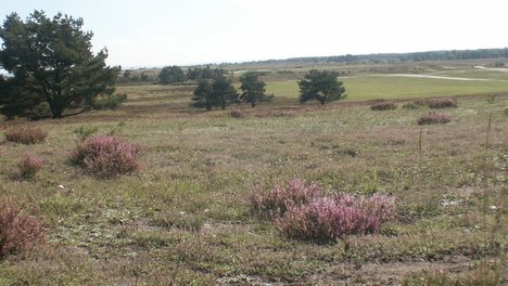 PICT4904.JPG