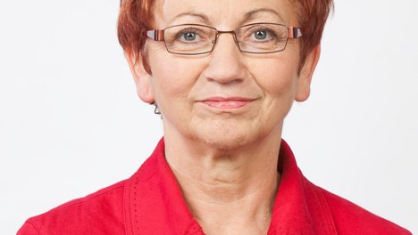 Inge Höger, Bundestagsabgeordnete DIE LINKE. Inge Höger, Bundestagsabgeordnete DIE LINKE.